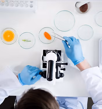 Scena di esperimento di laboratorio
