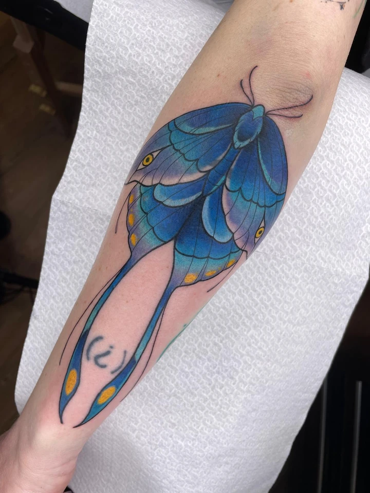cover up