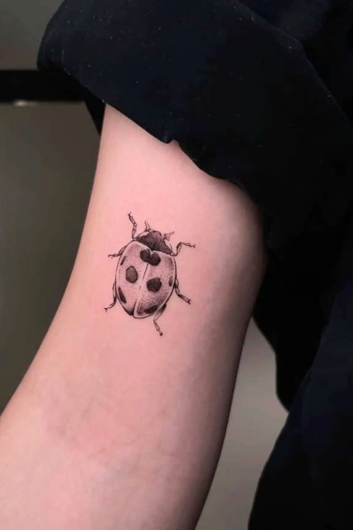 Foto Tattoo Piercing Dermo Seabird fineline